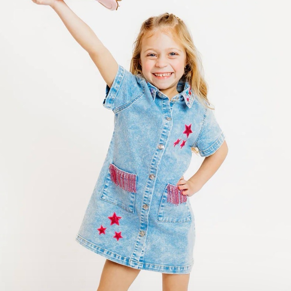 Denim Button-Front Dress